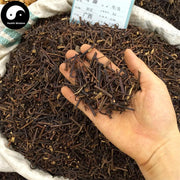 Gou Teng 鉤藤, Uncaria Rhynchophylla, Gambir Plant, Ramulus Uncariae Cum Uncis-Health Wisdom™