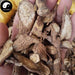 Gu Yang Teng 古羊藤, Streptoculon Griffithii Root, Ku Yang Teng, Nan Ku Shen-Health Wisdom™