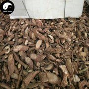 Gu Yang Teng 古羊藤, Streptoculon Griffithii Root, Ku Yang Teng, Nan Ku Shen-Health Wisdom™
