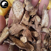 Gu Yang Teng 古羊藤, Streptoculon Griffithii Root, Ku Yang Teng, Nan Ku Shen-Health Wisdom™