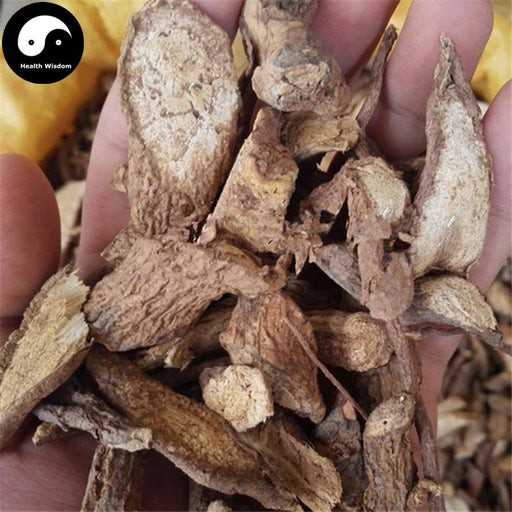 Gu Yang Teng 古羊藤, Streptoculon Griffithii Root, Ku Yang Teng, Nan Ku Shen-Health Wisdom™
