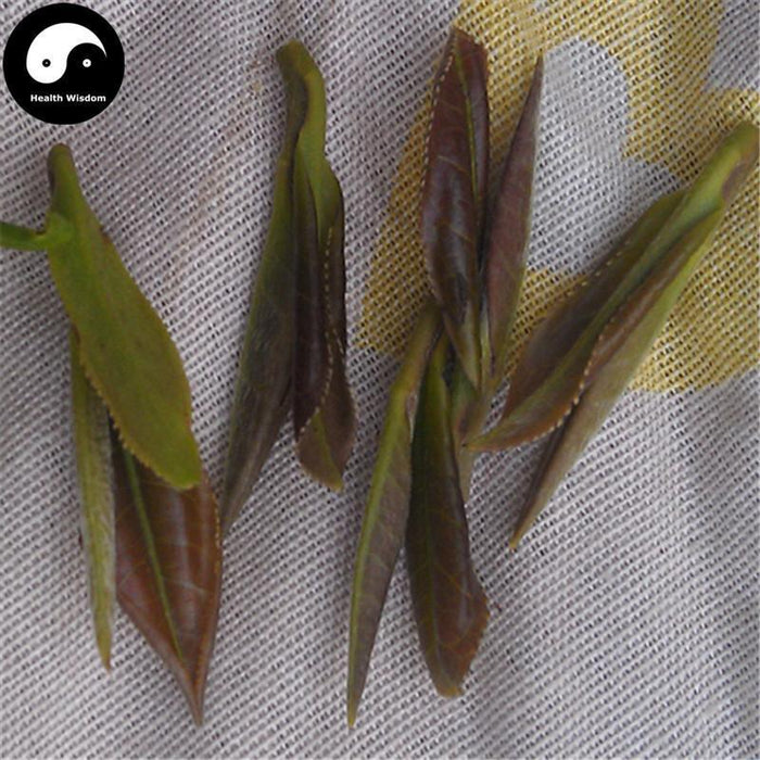 Gu Zhu Zi Sun 顾渚紫笋 Green Tea Purple Bamboo Shoot Tea-Health Wisdom™