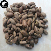 Gua Lou Zi 瓜蒌子, Gua Lou Ren, Snakegourd Seed, Semen Trichosanthis-Health Wisdom™
