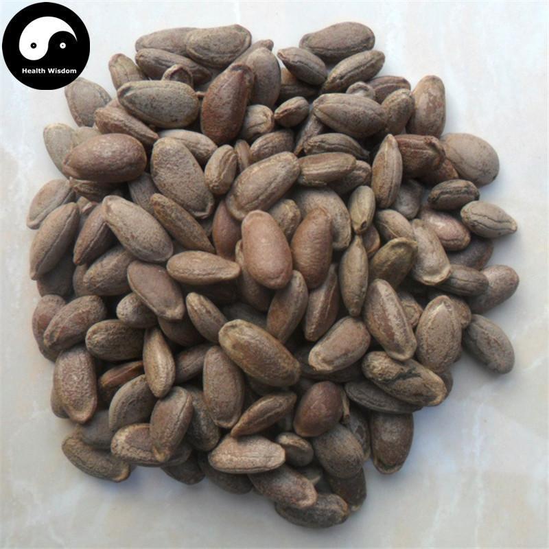 Gua Lou Zi 瓜蒌子, Gua Lou Ren, Snakegourd Seed, Semen Trichosanthis-Health Wisdom™