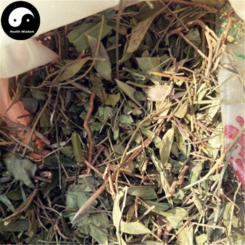 Gua Zi Jin 瓜子金, Herba Polygalae Japonicae, Japanese Milkwort Herb-Health Wisdom™