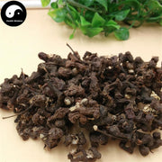 Guai Zao 拐枣, Ji Zhua Li, Zhi Ju Zi, Fructus Hoveniae, Raisin Tree Fruit-Health Wisdom™
