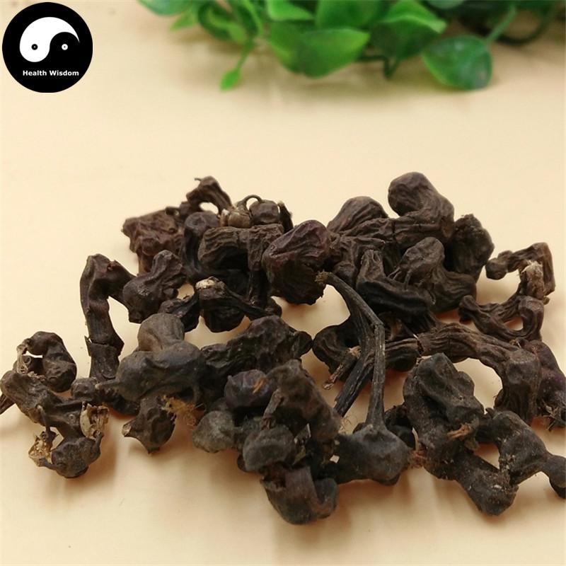 Guai Zao 拐枣, Ji Zhua Li, Zhi Ju Zi, Fructus Hoveniae, Raisin Tree Fruit-Health Wisdom™