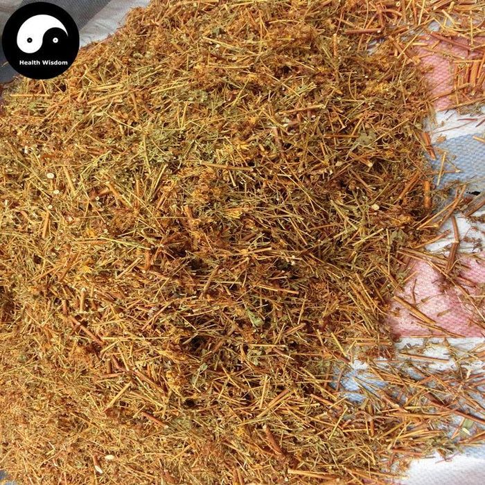 Guan Ye Lian Qiao 貫葉連翹, Common St.John's Wort Herb, Herba Hypericum Perforatum-Health Wisdom™