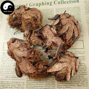 Guan Zhong 貫眾, Cyrtomium Rhizome, Rhizoma Cyrtomii, Guan Jie-Health Wisdom™