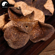 Guang Chen Pi 5年广陈皮, Ju Pi, Chen Ju Pi 陈橘皮, Tangerine Peel, Pericarpium Citri Reticulata-Health Wisdom™