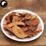 Guang Pi Mu Gua 光皮木瓜, Fructus Chaenomelis, Common Floweringquince Fruit-Health Wisdom™