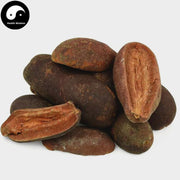Guang Pi Mu Gua 光皮木瓜, Fructus Chaenomelis, Common Floweringquince Fruit-Health Wisdom™