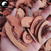 Guang Pi Mu Gua 光皮木瓜, Fructus Chaenomelis, Common Floweringquince Fruit-Health Wisdom™