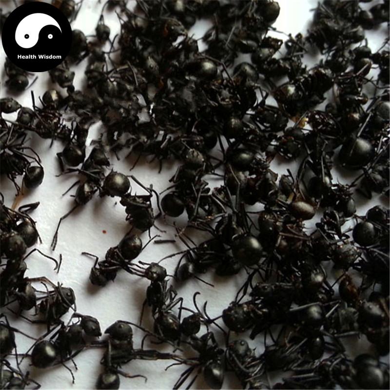 Guangxi Hei Ma Yi Fen 黑蚂蚁粉, Polyrachis Ants Powder, Black Ant, Animal Tonic-Health Wisdom™