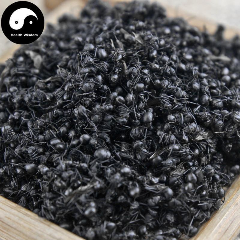 Guangxi Hei Ma Yi 黑蚂蚁, Polyrachis Ants, Black Ant, Animal Tonic-Health Wisdom™