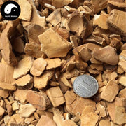Gui Ban 龟板, Plastrum Testudinis, Tortoise Plastron, Zhi Gui Jia-Health Wisdom™