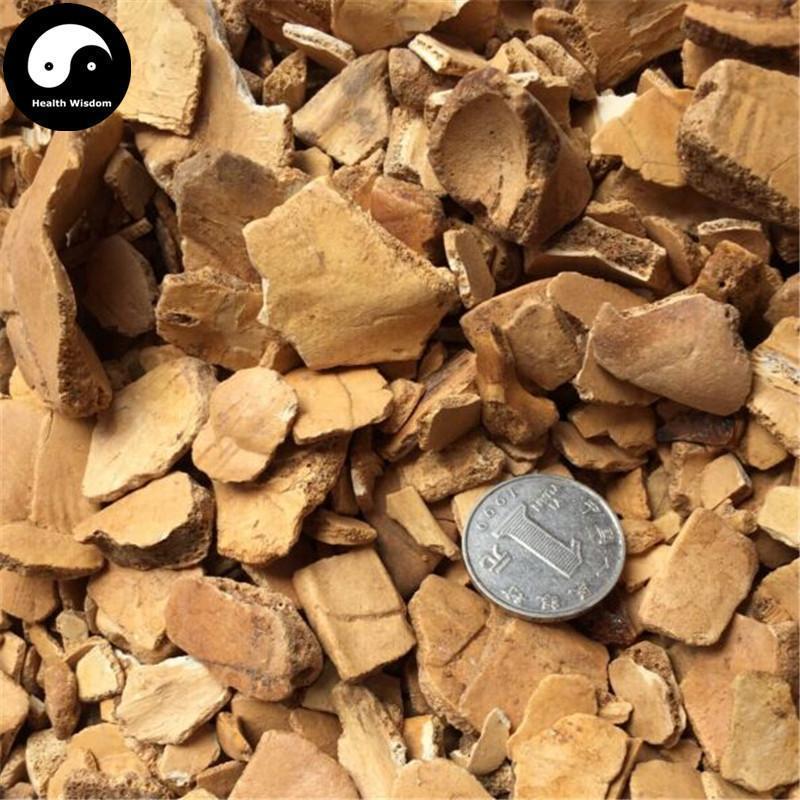 Gui Ban 龟板, Plastrum Testudinis, Tortoise Plastron, Zhi Gui Jia-Health Wisdom™