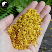 Gui Hua 桂花, Flos Osmanthi Fragrantis, Mu Xi Hua, Sweet Osmanthus Flower-Health Wisdom™