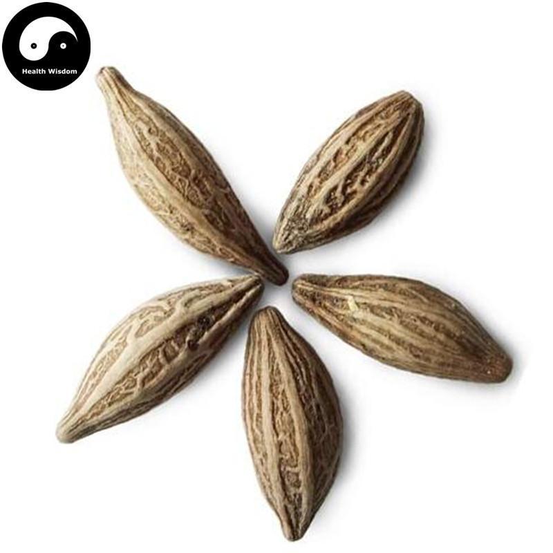 Gui Hua Zi 桂花子, Cassia Bud, Osmanthus Fragrans-Health Wisdom™