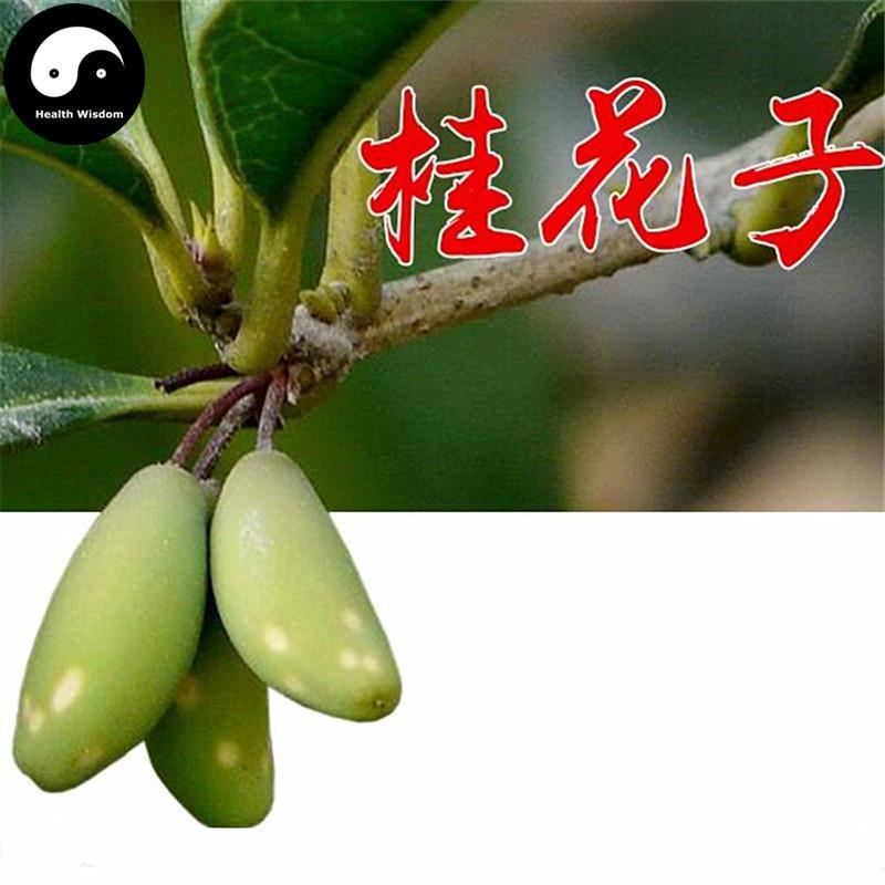 Gui Hua Zi 桂花子, Cassia Bud, Osmanthus Fragrans-Health Wisdom™