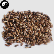 Gui Hua Zi 桂花子, Cassia Bud, Osmanthus Fragrans-Health Wisdom™