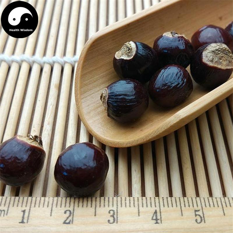 Gui Yuan He 桂圆核, Semen Longan, Longan seed, Long Yan He-Health Wisdom™