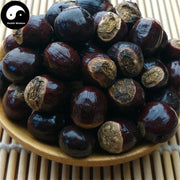 Gui Yuan He 桂圆核, Semen Longan, Longan seed, Long Yan He-Health Wisdom™