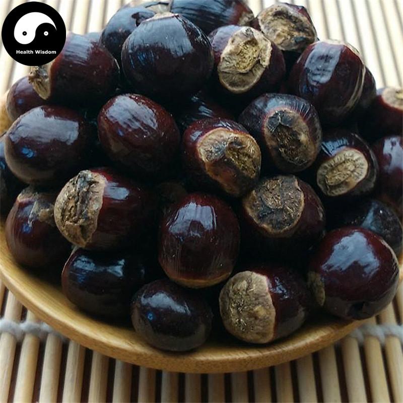 Gui Yuan He 桂圆核, Semen Longan, Longan seed, Long Yan He-Health Wisdom™