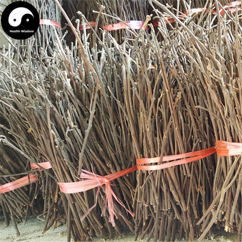 Gui Zhi 桂枝, Ramulus Cinnamomi, Cassia Twig, Cassiabarktree Branchlet-Health Wisdom™