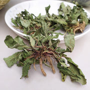 Ha Ma Cao 蛤蟆草, Herba Tea Bothriospermum Chinense, Xue Jian Cao, Li Zhi Cao 荔枝草-Health Wisdom™