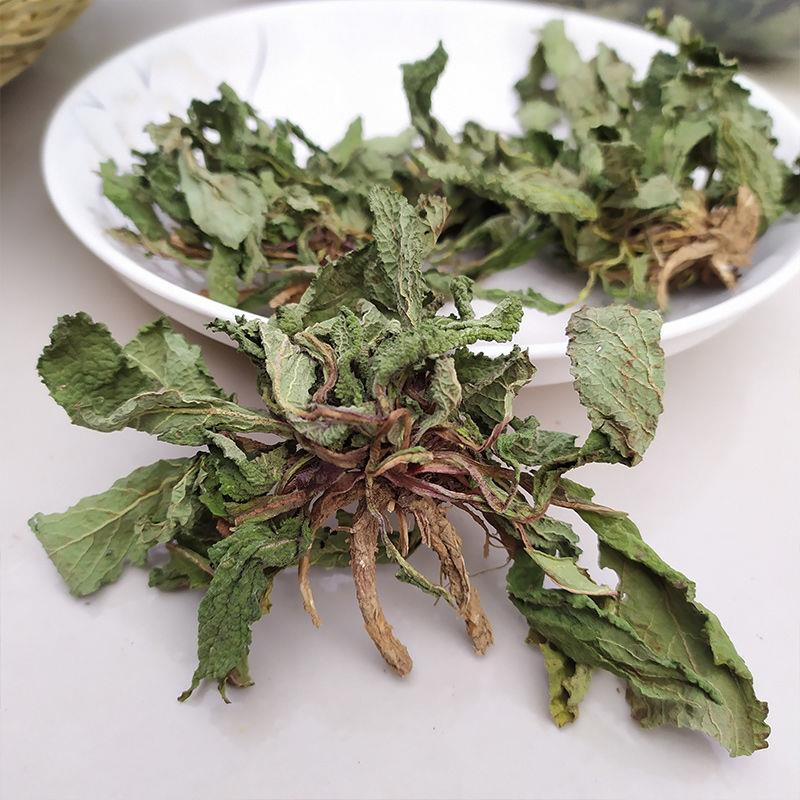 Ha Ma Cao 蛤蟆草, Herba Tea Bothriospermum Chinense, Xue Jian Cao, Li Zhi Cao 荔枝草-Health Wisdom™