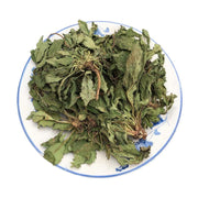 Ha Ma Cao 蛤蟆草, Herba Tea Bothriospermum Chinense, Xue Jian Cao, Li Zhi Cao 荔枝草-Health Wisdom™