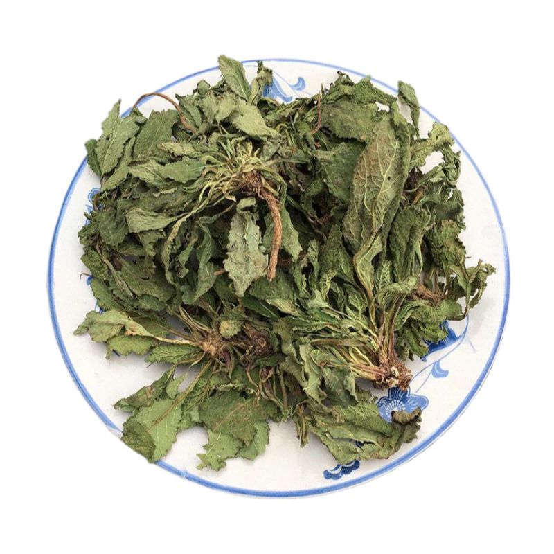 Ha Ma Cao 蛤蟆草, Herba Tea Bothriospermum Chinense, Xue Jian Cao, Li Zhi Cao 荔枝草-Health Wisdom™