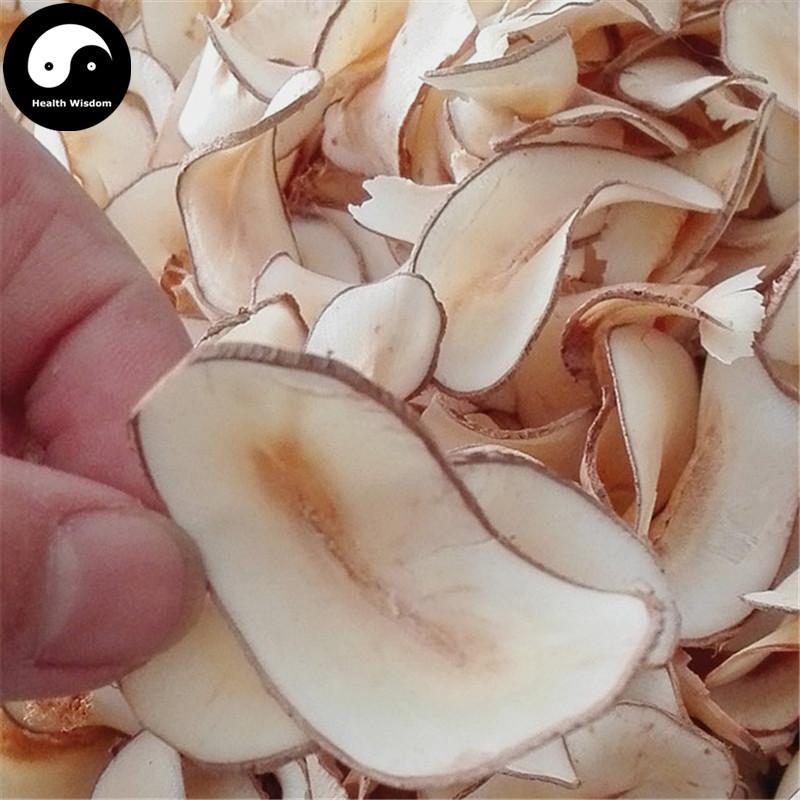 Hai Di Ye Pian 海底椰, Lodoicea Maldivica, Hai Ye Zi, Sea Coconut-Health Wisdom™