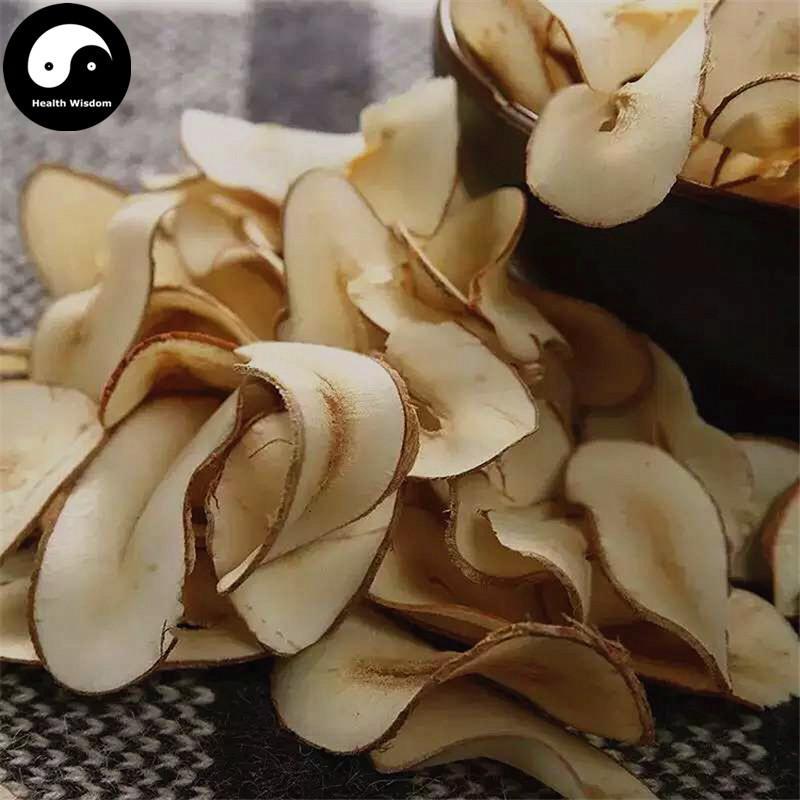 Hai Di Ye Pian 海底椰, Lodoicea Maldivica, Hai Ye Zi, Sea Coconut-Health Wisdom™