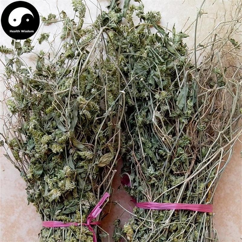 Hai Er Cao 孩儿草, Herba Rungia Pectinata, Huang Feng Cao-Health Wisdom™