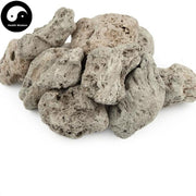 Hai Fu Shi, Bryozoatum, 海石 Hai Shi, Shi Hua-Health Wisdom™