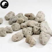 Hai Fu Shi, Bryozoatum, 海石 Hai Shi, Shi Hua-Health Wisdom™