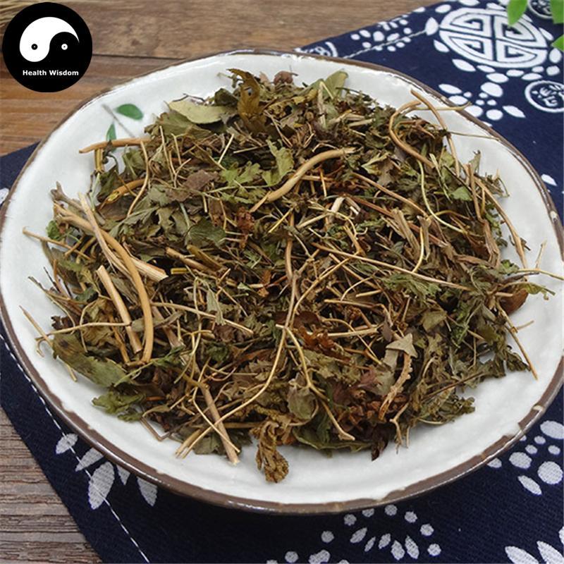 Hai Jin Sha Cao 海金砂草, Herba Lygodii, Japanese Climbing Fern Herb, Hai Jin Sha Teng-Health Wisdom™