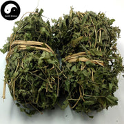 Hai Jin Sha Cao 海金沙草, Herba Lygodii, Japanese Climbing Fern Herb, Lygodium-Health Wisdom™