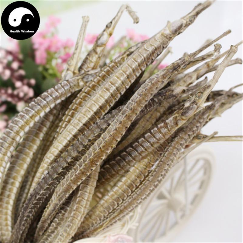 Hai Long 海龙, Syngnathus, Pipe Fish-Health Wisdom™