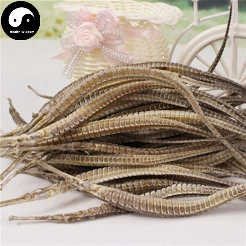 Hai Long 海龙, Syngnathus, Pipe Fish-Health Wisdom™