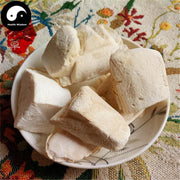 Hai Piao Xiao 海螵蛸, Cuttlebone, Cuttlefish Bone-Health Wisdom™