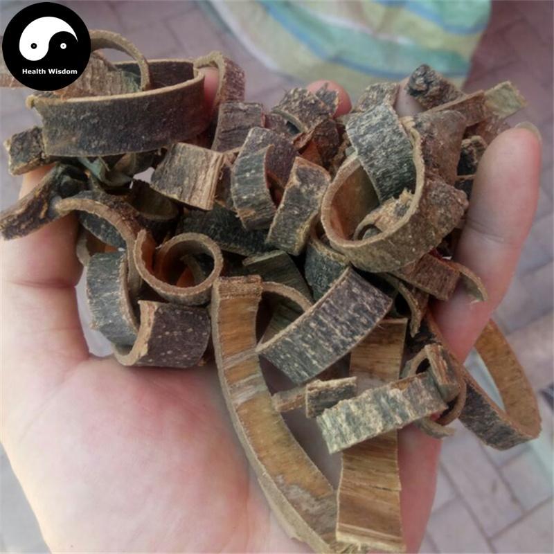 Hai Tong Pi 海桐皮, Cortex Erythrinae, Aralia Chinensis Bark-Health Wisdom™