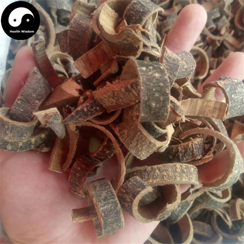 Hai Tong Pi 海桐皮, Cortex Erythrinae, Aralia Chinensis Bark-Health Wisdom™