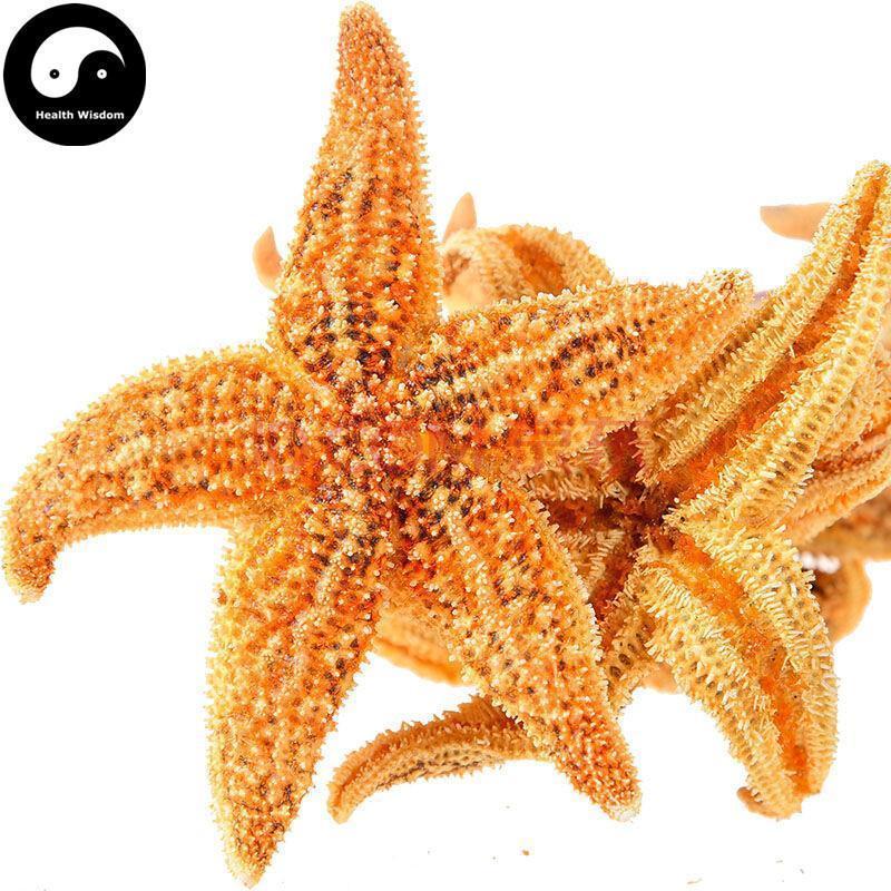 Hai Xing 海星, Starfish, Sea Star, Five-pointed Star, Asterias Rollestoni-Health Wisdom™