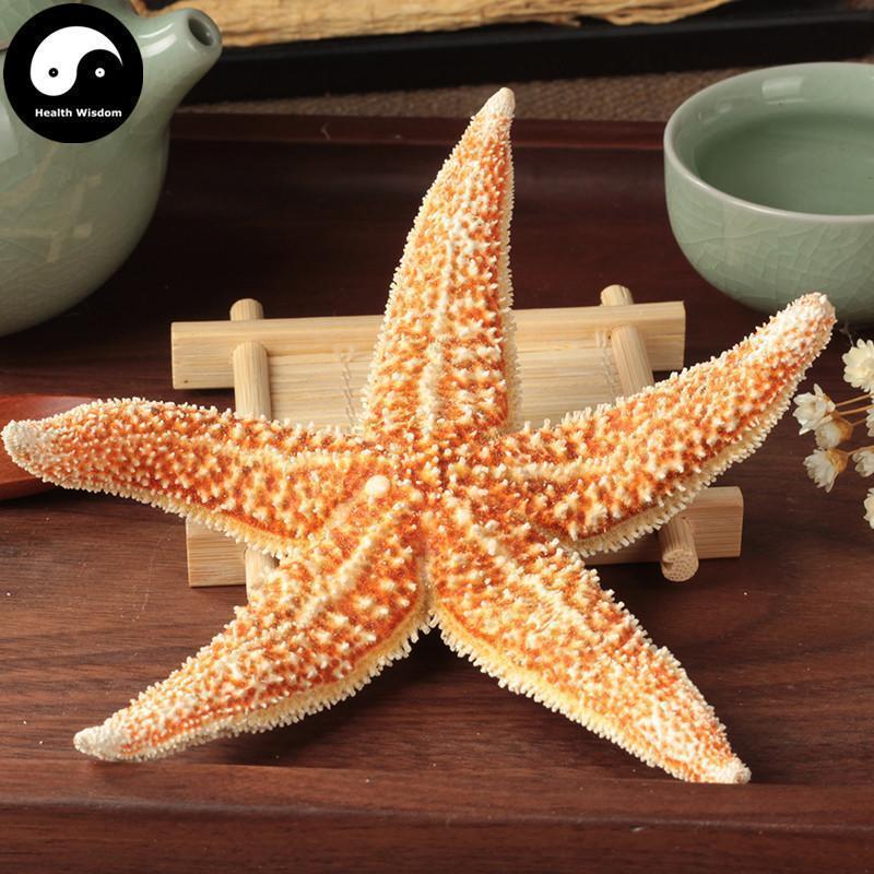 Hai Xing 海星, Starfish, Sea Star, Five-pointed Star, Asterias Rollestoni-Health Wisdom™