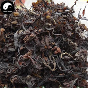 Hai Zao 海藻, Sargassum, Seaweed, Herba Sargassii-Health Wisdom™