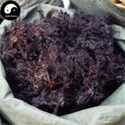 Hai Zao 海藻, Sargassum, Seaweed, Herba Sargassii-Health Wisdom™