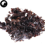 Hai Zao 海藻, Sargassum, Seaweed, Herba Sargassii-Health Wisdom™